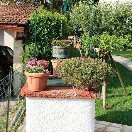 Bed & Breakfast Verdegiada 3*