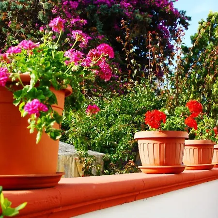 Verdegiada 4* Brindisi