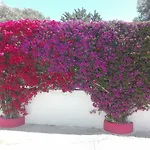 Verdegiada