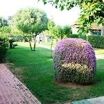Verdegiada
