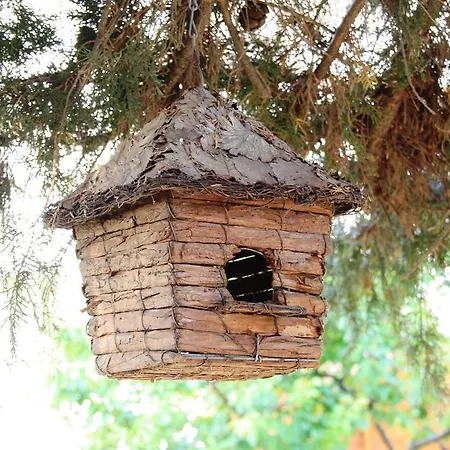 Verdegiada Bed & Breakfast 3*