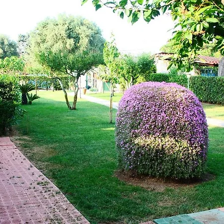 Verdegiada